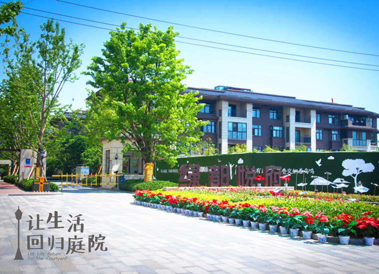前后张望南阳50年：这样的天井，很难再有了！