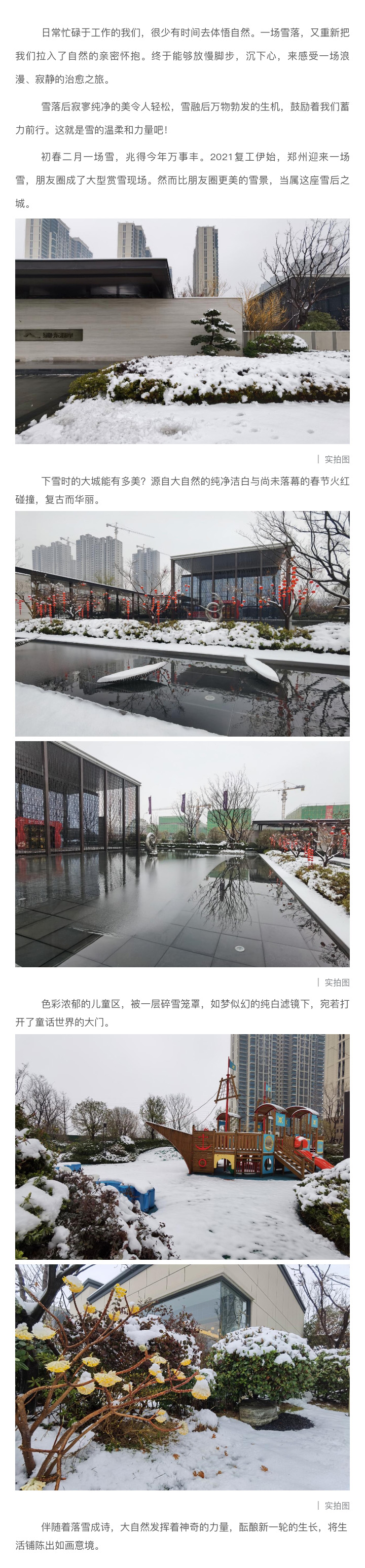 2021浪漫开年，共赏一场鹅毛大雪！